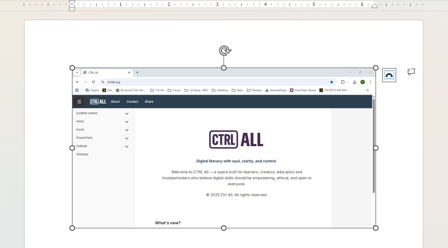 Screenshot inserted with selection frame showing